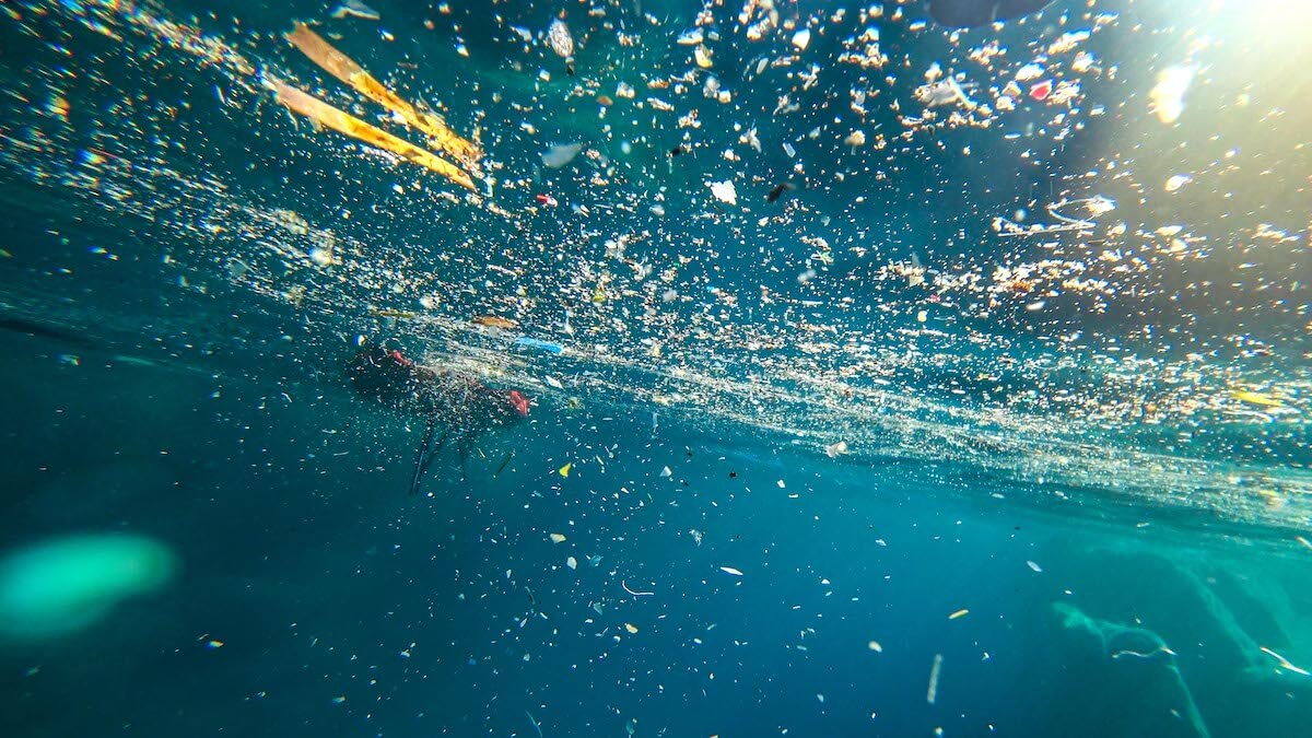 Microplastiques : des concentrations très variables dans les eaux françaises en bouteille, selon une étude